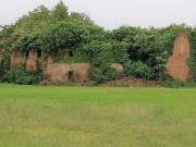 Terreno agricolo in Vendita a Pozzaglio ed Uniti