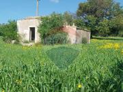 Terreno agricolo in vendita a Pozzallo