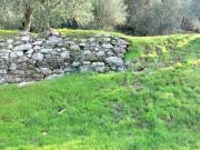 Terreno agricolo in vendita a Prato
