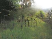 Terreno agricolo in Vendita a Provaglio d'Iseo