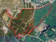 Terreno agricolo in Vendita a Realmonte