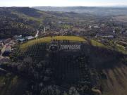 Terreno agricolo in vendita a Recanati