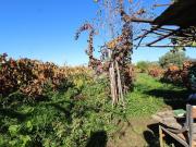Terreno agricolo in vendita a Reggio Calabria