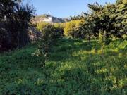 Terreno agricolo in vendita a Reggio Calabria