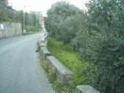 Terreno agricolo in vendita a Reggio Calabria