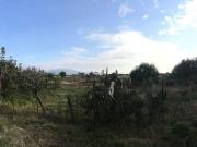 Terreno agricolo in vendita a Reggio Calabria