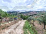 Terreno agricolo in Vendita a Ripalimosani