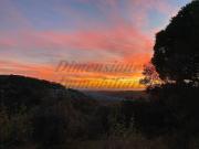 Terreno agricolo in vendita a Riparbella