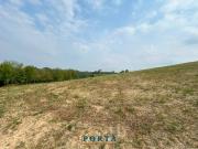 Terreno Agricolo in vendita a Rocca Cigli