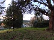 Terreno Agricolo in vendita a Roccastrada