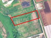 Terreno agricolo in Vendita a Roma