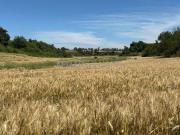 Terreno agricolo in vendita a Roma