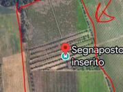 Terreno agricolo in vendita a Roma