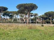Terreno agricolo in vendita a Roma