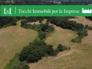 Terreno agricolo in vendita a Roma