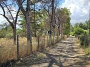 Terreno agricolo in vendita a Roma