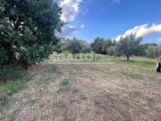 Terreno agricolo in vendita a Roma