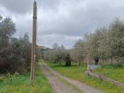 Terreno Agricolo in vendita a Roma