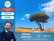 Terreno agricolo in vendita a Roma