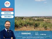 Terreno agricolo in vendita a Roma