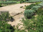 Terreno agricolo in vendita a Roma