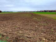 Terreno agricolo in Vendita a Roncello