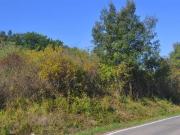 Terreno agricolo in vendita a Rosignano Marittimo