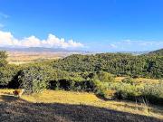 Terreno agricolo in vendita a Rosignano Marittimo