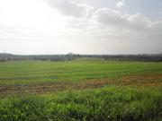 Terreno agricolo in vendita a Rosignano Marittimo