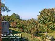 Terreno agricolo in vendita a Rosignano Marittimo