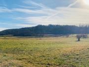Terreno agricolo in Vendita a Rosta