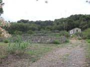 Terreno agricolo in vendita a San Bartolomeo Al Mare