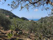 Terreno Agricolo in vendita a San Biagio della Cima