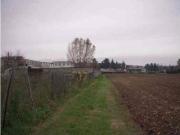 TERRENO AGRICOLO in VENDITA a SAN FIOR San Fior
