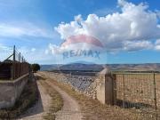 Terreno agricolo in vendita a San Giovanni Rotondo