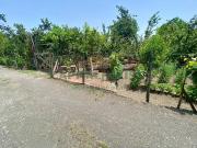 Terreno agricolo in vendita a San Giuseppe Vesuviano