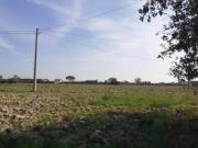 Terreno agricolo in vendita a San Lorenzo a Pagnatico...