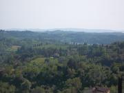 Terreno Agricolo in vendita a San Miniato