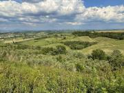 Terreno agricolo in vendita a San Miniato