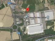 Terreno agricolo in vendita a San Miniato