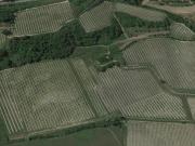 Terreno agricolo in vendita a San Miniato