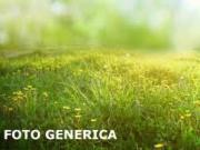 Terreno agricolo in vendita a San Piero a Grado Pisa...