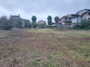 Terreno agricolo in vendita a San Potito Ultra