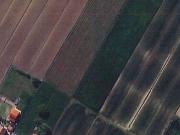 Terreno agricolo in Vendita a San Prospero