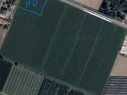 Terreno agricolo in Vendita a San Prospero