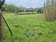 Terreno agricolo in vendita a San Ruffino Casciana Terme...