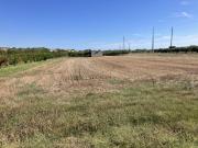 Terreno agricolo in Vendita a San Salvo