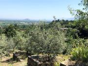 Terreno agricolo in Vendita a San Secondo di Pinerolo