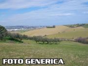 Terreno agricolo in vendita a Santa Maria a Monte