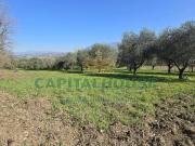 Terreno agricolo in vendita a Sant'Agata De' Goti
